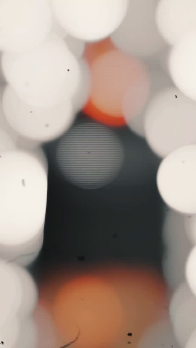 We weren’t built in comfort.
We were forged in sweat, setbacks, and the silence before the bell rings.
This isn’t just fitness — it’s the fight.
The reps when your hands are torn up.
The rounds when your lungs burn but you stay in.
The early mornings. The late nights. The days when no one’s watching.
At 3rd.monkey, we’re not just athletes — we’re a tribe.
CrossFit crushers. HYROX grinders. Mat warriors.
We speak one language: effort.
No ego. Just earned respect.
Train with grit. Move with purpose. Bleed with your crew.
Welcome to the jungle. Welcome to 3rd.monkey. 🦍
#3rdMonkeyTribe #EarnedNotGiven #HYROX #CrossFitLife #BJJLife #NoComfortZone #CombatStrong #SweatBonded