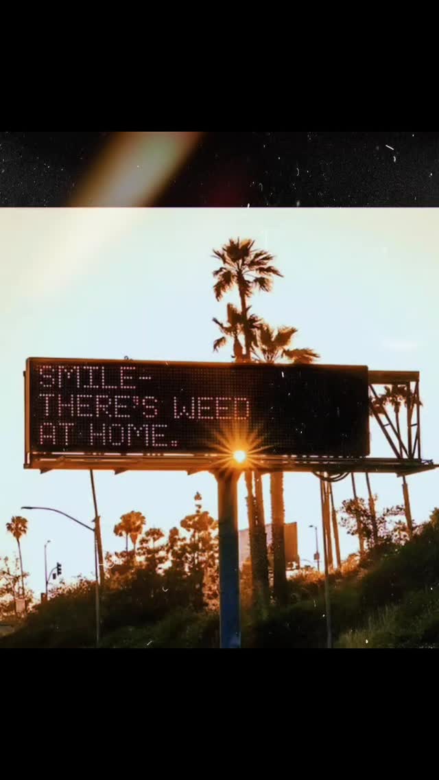 Follow for the best tested seeds dropping in Germany
----->KushKiez<----
.
.
.
.
#pflanzen #tested #kush #balcony #kushkiez #germany #berlin #munich #hamburg #sativa #indica #smile #thinkpositive #sunsetlover #mindsetmatters #growthmindset