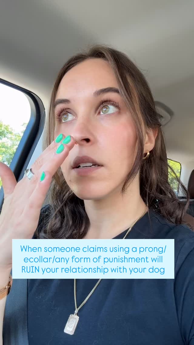 To me, this statement does not come from a good place 🫣
When I hear/see someone make this COMPLETELY FALSE claim, I know one of the following is true:
- they have never used aversive methods
- they HAVE used aversive tools but not correctly
- .
So, as you can imagine, I have a hard time taking training advice from people who say 💩 like this. Just like I probably wouldn’t take cooking advice from someone who has never cooked or from someone who is a terrible cook.
Share your stories in the comments of how training your dog using a BALANCED approach has improved your relationship with your dog!
Also if you hate my nails please don’t say anything I’m already regretting the color okay???
#dog #dogtraining #balanceddogtraining #dogsofinstagram