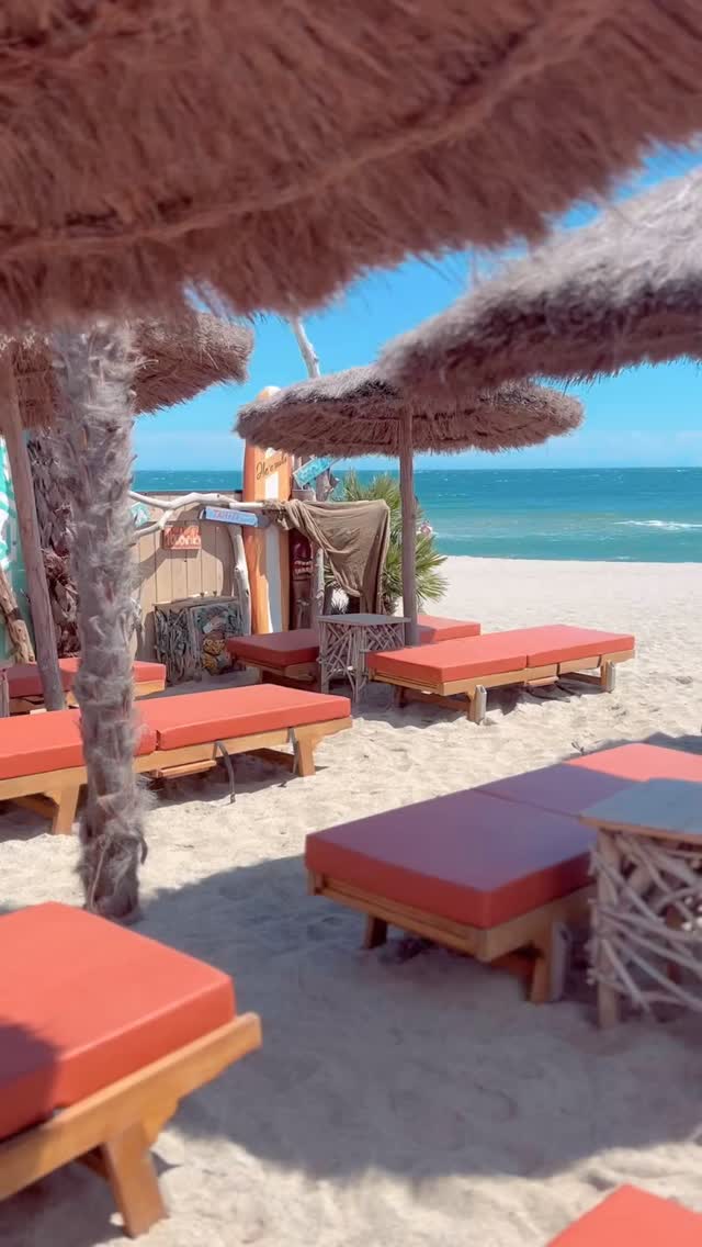 Posez votre serviette au Hawaï Club, le spot plage incontournable à Argelès ! Sable chaud, transats et vue mer vous attendent pour un moment de pur plaisir. 🌞🌊