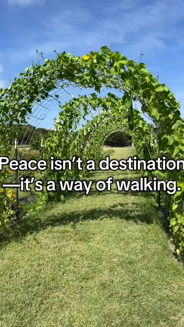 Hope you all have a peaceful week 🩷