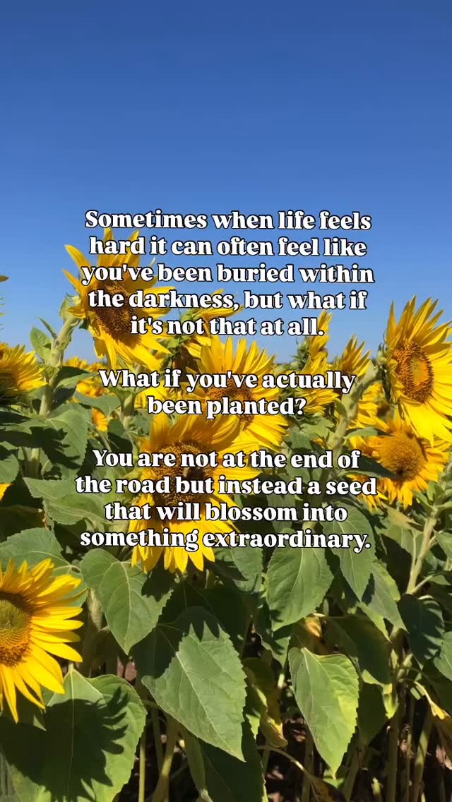 THIS IS JUST THE BEGINNING 🌱
A few years ago I had a full blown mental breakdown. After years of struggling with depression, anxiety and complex PTSD I reached my breaking point and at the time I felt so buried deep within the darkness that I struggled to see a way out. I was completely and utterly exhausted by life.
But what I realise now is that I wasn’t buried I was being planted. I had reached the point in my life where ENOUGH WAS ENOUGH. I was tired of the bullshit life I had created for myself and was desperate for something greater.
I realise now that it was the feeling of being buried that finally made me wake up and it was at this point that I started my personal development journey. I read every self help book I could get my hands on, listened to every podcast, I attended workshops and seminars, I hired a coach and I learned everything I could about my brain, how it works and why I had created so many bullshit limiting beliefs about myself.
I got asked a while back if I remember the moment things started to change for me and if I’m honest I don’t. It was definitely a gradual thing that took time, but if I compare how I feel about myself and my life now to how I used to feel I can honestly say I don’t recognise the woman I used to be.
If this resonates with you please know that even if what you’re going through right now feels like your darkest hour it may also be your greatest lesson and just the start of your next extraordinary chapter.
If you’d like any help or support in navigating your way through tough times, drop me a DM. Alternatively, you can book a FREE discovery call with me where we can chat in more detail about the different ways you can work with me and if it’s a good fit for you - just follow the link in my bio to book a time that suits you.
BIG, BIG, BIG love to you!
Hannah xx
-
#newbeginnings #selflove #mentalhealthsupport #anxietysupport #feeltoheal #lifecoachforwomen