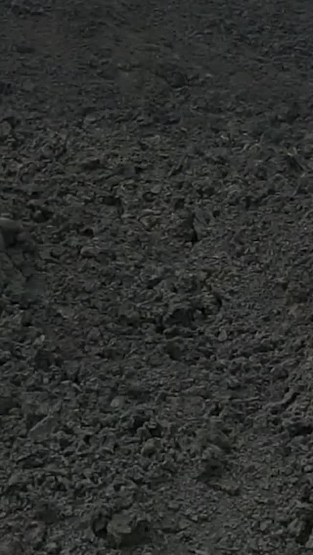 T⃣ W⃣ O⃣ - The Stranded Assets album walkthrough continues... You can feel it Coming - supposed to be a protest song... you judge... Various people had a hand in it including Julian Simmons who helped make the repetitive bass so insistent. Plus the highly effective screaming sax from Sean (Read) which crowns the track!
👉 ALBUM LINK IN BIO 👈
#youcanfeelitcoming #myglassworld #outnow