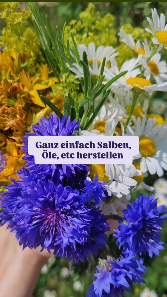 Öle und Salben ganz einfach herstellen 🏵🌿🌸
Schritt 1 Blüten/Kräuteröl als Basis ansetzen
#ayurvedafürfrauen #ayurvedahealing #natürlichgesund #natürlichheilen #ayurdoula #postpartumcare