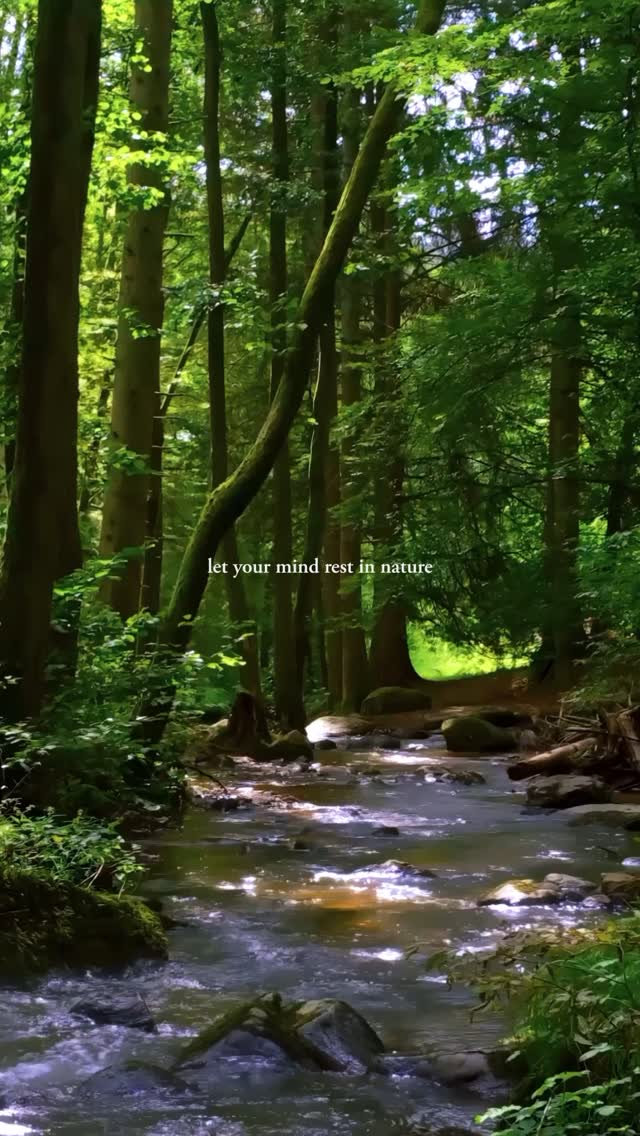 Real rest comes from the wild 🍃
Send to someone who needs a break from noise.
#mindfulmoment #naturescapes #naturesounds #relaxwithnature