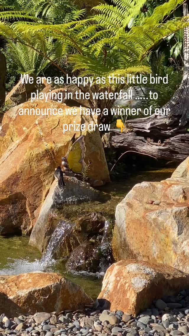 Thank you to all who came and engaged with our stall at Bellingen Market last weekend. Weāre pleased to announce the lucky winner of any upcoming 3 hour experience this winter is @ionamacdonald__ We look forward to you receiving a VIP experience Iona š #healthyliving #nambuccavalley #nature #reset #healthylifestyle