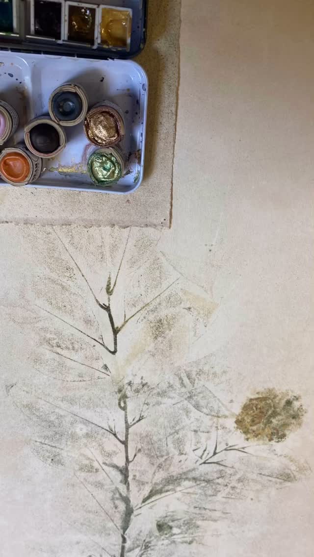 Botanography’s studio is open this Saturday & Sunday, 12-5. Botanographs and HIVE games are for sale. All sales fund Botanography’s environmental literacy programming with children. Botanography shares space with @modemodernephilly and @brewerytown_paperboy . There is something for everybody at 1517 N. Bailey Street in Brewerytown, Philadelphia.