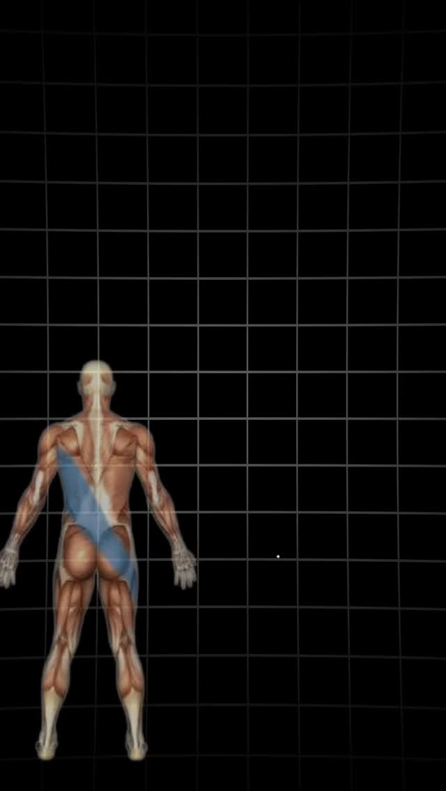 Har du fået en skræddersyet plan til dine individuelle behov?
Nej?🤔
Så synes jeg, du skal læse med her!😊
Træning er ikke bare træning, og behandling er ikke bare behandling.
Hvad mener jeg med det?
Jeg starter ofte samarbejde med mennesker, der har prøvet mange former for behandling – eller forskellige typer træning.
En fællesnævner for mange af dem er, at de aldrig har fået en individuelt tilpasset plan, der tager højde for deres behov og de drømme, de gerne vil opnå.✅
For træning er ikke bare træning – det handler om de øvelser, din krop har brug for, med den rette intensitet, de rigtige gentagelser og passende pauser.
Træning er nemlig aktiv behandling!
Og det er den behandling, der skaber den forandring, du har brug for. 🎯
Selvfølgelig handler det ikke kun om træning.
Det handler lige så meget om dig – at du bliver set som det hele menneske, du er.
At du lærer, hvilken betydning dit nervesystem har. Hvad din fordøjelse fortæller dig.
Og måske – at nogle af dine symptomer kommer fra følelser, du (ubevidst) prøver at undgå.🧑🎓
Så hvad er min pointe?⬇️
At du har brug for – og ret til – at blive set som et helt menneske.
At du får en aktiv plan, de rette redskaber og den støtte, du har brug for, så du kan opnå det, du ønsker dig.👑
Så hvis du står i en situation, du ikke har kunnet løse – eller hvis du føler, du har prøvet alt muligt, der ikke virker –
så vil jeg meget gerne hjælpe dig med at finde den løsning, der passer til dig 😊
#biomekanik #funktioneltræning #holisticcoaching #breathing #rotation #myofascialrelease #århus #performance #smertefri #balance