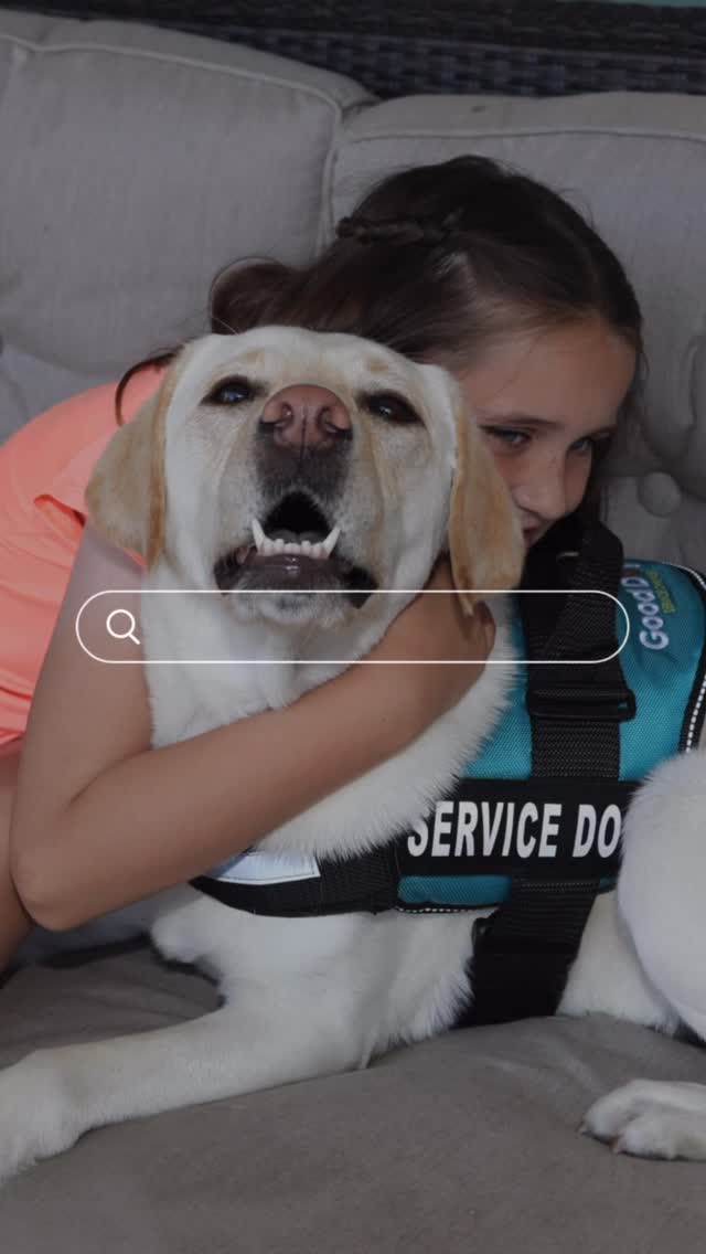 Free Online Service Dog Infurmation Hour 🧡
We know that navigating the world of service dogs can feel frustrating and complex—especially with the current shortage of autism service dogs. Even though our applications are currently closed, we want to help families find clarity and confidence on this journey.
#AutismServiceDog
#ServiceDog
#AutismParent
#AutismAssistanceDog
Join us for our free Service Dog Infurmation Hour on Sunday August 10th at 10am PST, where we’ll walk through key topics like:
🧡 Industry Terms & Classifications
🧡 Benefits of a Service Dog
🧡 Is a Service Dog right for my family?
🧡 Roles of a Handler
🧡 Service Dog Law
🧡 Ways of Getting a Service Dog
🧡 Challenges, Risks & Rewards
🧡 Open Q&A
Because every family deserves a chance to experience the life-changing benefits of a service dog. 🧡🐶
📅 Sunday August 10 | 10am PST
📍 Register via the link on our website (or in IG bio)