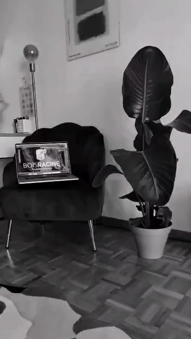 Let's develop a new visual identity together 🔥
Bois Racine × 2025