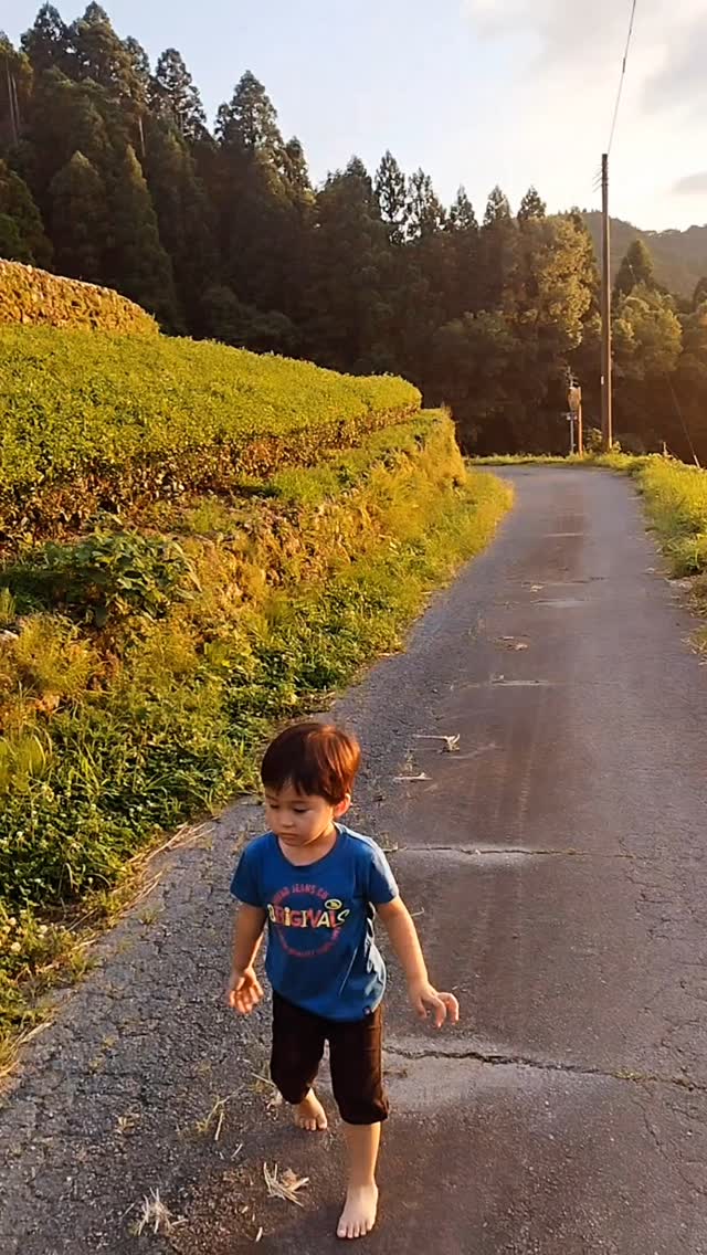 Bathed in the golden glow of sunset,
Ryunosuke walks quietly down the fading path.
Who knew the end of a day could be this beautiful?
夕日の光が道を染める頃、
龍之介は静かにその中を歩いていた。
一日の終わりが、こんなにも美しいなんて。
#夕暮れの魔法 #黄金のひととき #龍之介 #田舎の午後 #日が沈む頃に #家族の記憶 #天空の茶屋敷
#SunsetPoetry #GoldenLight #Ryunosuke #WhispersOfNature #EndOfDayMagic #SkyTeaHouse #RuralSerenity