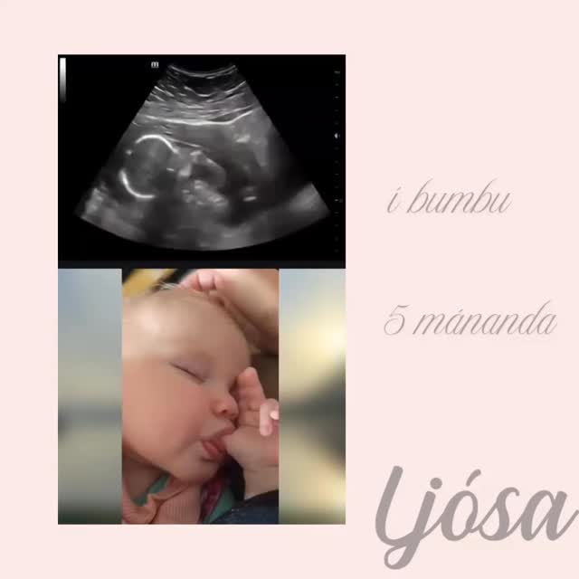 Elska fallegu myndböndin og myndirnar sem þið sendið 🤍
Hér er ein 5 mánaða í bumbunni og 5 mánaða gömul enn að elska að sjúga puttann sinn 👶🏻