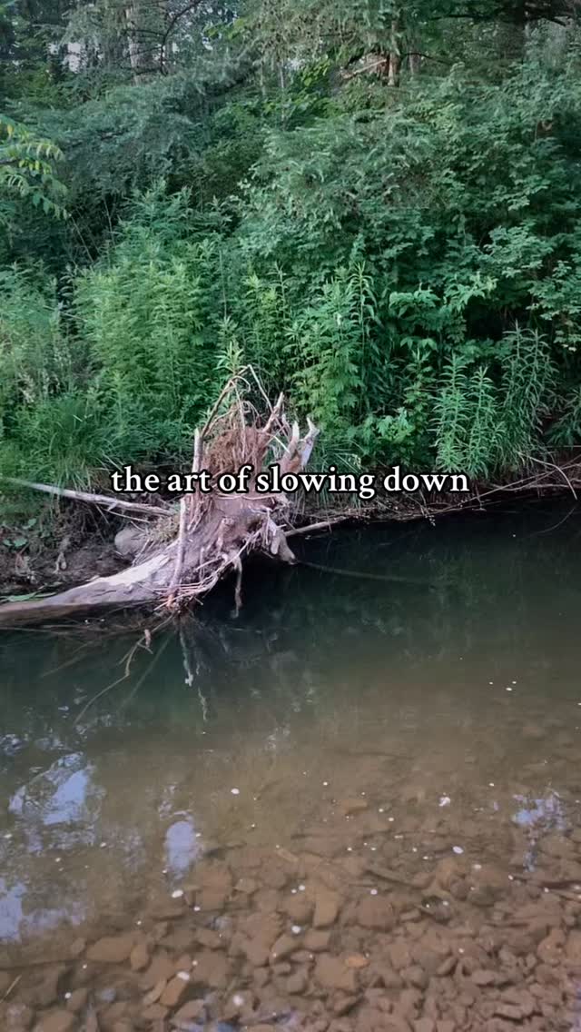 rest is medicine
so I slow down and receive
let myself be
finding harmony
with my cells and all living things