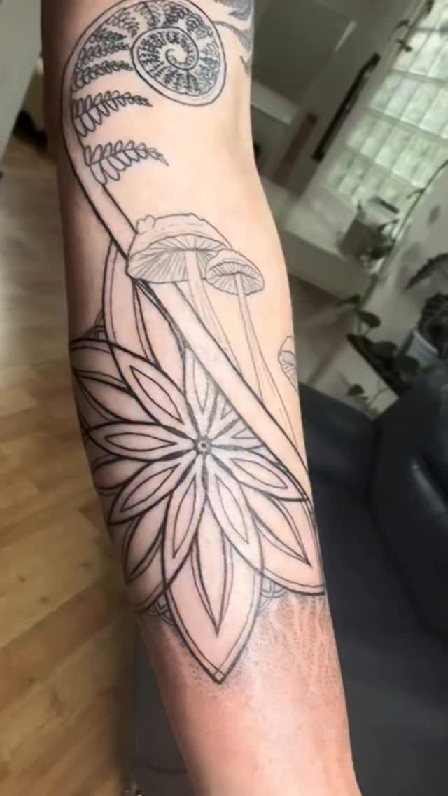 Obsessed… 🌿🍄🟫🌾
#sriyantra #geometry #ferntattoo #fern #magic #ancientsoul #roots #rememberwhoyouare #tattoo #medicine #pnwtattoo #delicate