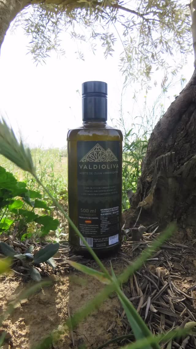 Geniet van de pure smaak van de Sierra Nevada! Onze 500 ml fles extra vierge olijfolie van brengt de Spaanse zon rechtstreeks naar uw keuken. Met liefde gekweekt en geperst onder de stralende zon van de Sierra Nevada, voor een onvergetelijke culinaire ervaring.