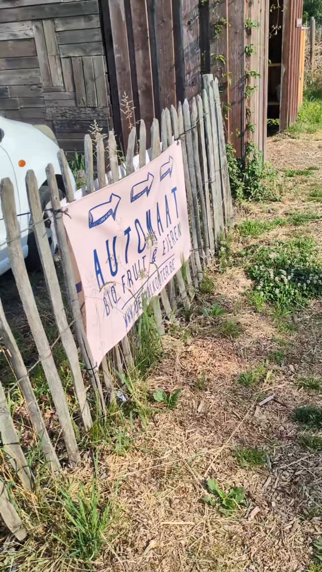 Ontdek onze bloemenpluktuin 👀
24/24 open
alle stengels aan €1/st
Betalen op vertrouwen cash of via payconiq
100% biologisch 💐
Wij voorzien: water, mesjes en touw.
Neem gerust mee: eigen snoeischaartje, vaas of emmer
Welkom bij ons ☀️
de daalkouter - houtemstraat 98 - Herzele