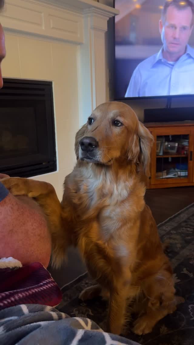 What a dog!