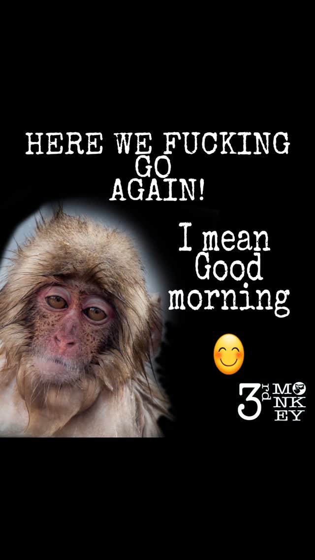 Happy Monday mother F@#kers
Rise and shine
Back to the circus
Crush it all the way to Friday
#3rdmonkeyattitude #3rdmonkey #3mky