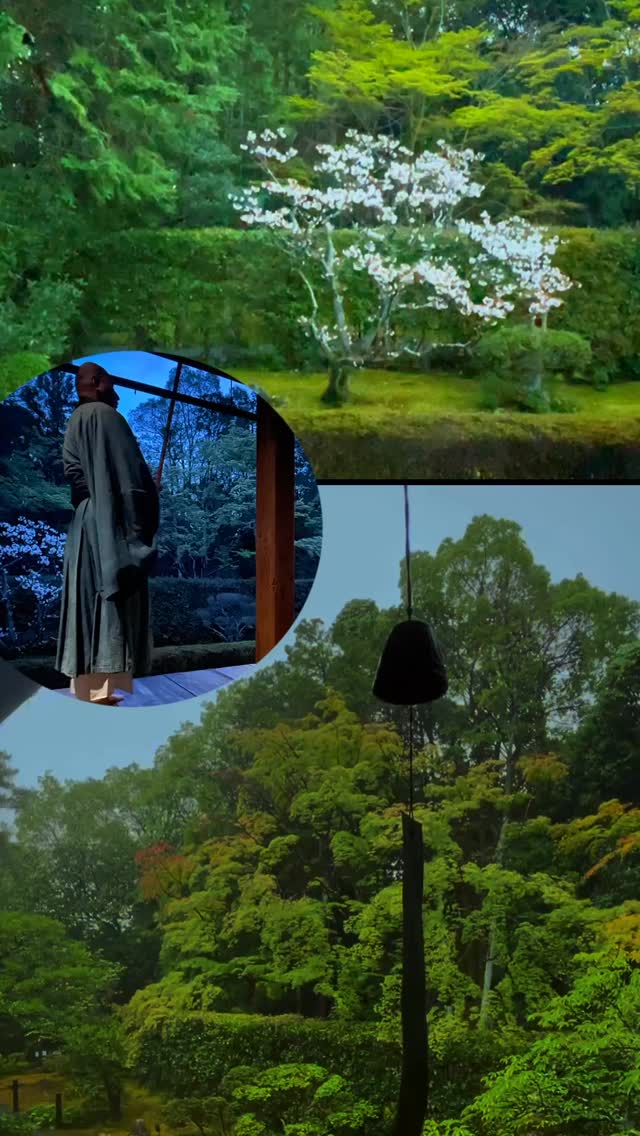 A quiet moment in the rain at Myoshinji.
Where time slows, thoughts settle, and the sound of raindrops becomes part of the meditation.
Join a rare Zazen experience led by the head priest of Keishun-in, tucked within the serene temple grounds of Myoshinji.
📍 Keishun-in, Myoshinji
🧘 Guided Zazen sessions available via GetYourGuide & Klook
#Kyoto #KyotoJapan #KyotoTrip #KyotoTravel #KyotoExperience #AuthenticKyoto #SlowTravelJapan
#Myoshinji #Keishunin #ZazenExperience #ZenMeditation #CulturalExperience #JapaneseCulture
#ThingsToDoInKyoto #UniqueExperiencesJapan #JapanTravel #JapanTrip #JapanLife #MyJapan
#TraditionalJapan #VisitKyoto #GetYourGuideJapan #KlookExperience
#RainyDayInKyoto #MindfulMoments #TempleExperience #ArtisanExperience
#HiddenKyoto #ZenGarden #SpiritualTravel