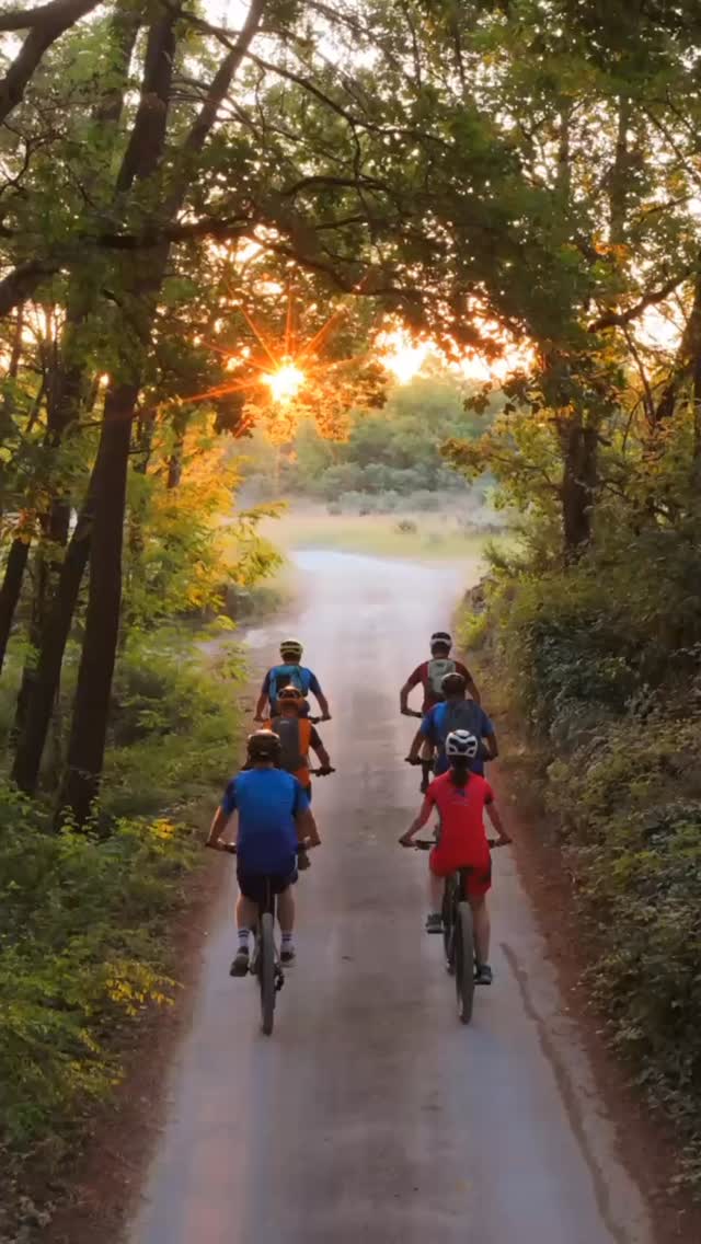 Wir hatten Besuch vom Kamera- und Fotografieteam – genau zur perfekten Lavendelblüte 💜 Der Duft in der Luft, das Summen der Bienen, das goldene Licht – und mittendrin unser Bikeparadies 🚵♀️
Ein kleiner Sneak Peek für dich – mehr folgt bald… ✨
@naturemovie @nina_b_photography_ch