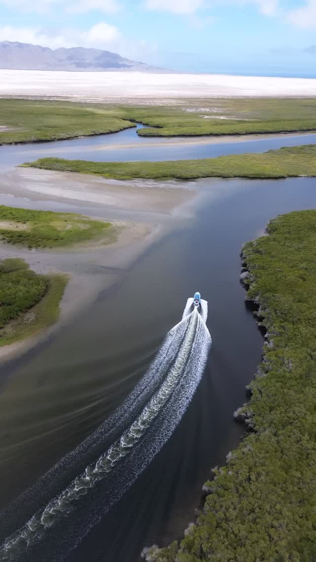 🚤 Navega entre canales de manglares, camina sobre dunas infinitas y conéctate con la naturaleza como nunca antes.
📍 Puerto San Carlos, BCS
🌿 Tour disponible todos los días.
¡Reserva tu lugar hoy!
📲 Envíanos DM o haz clic en el link de perfil.
#EntreDunasYManglares
#AventuraNatural #Manglares #Dunas #ExploreMexico #NatureVibes #TravelReel #ViralReels #HiddenParadise #DesiertoYMar #NatureLovers #murillosbrosadventours #dji #familydji #drondji