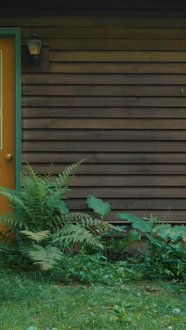 I’m a lifelong thrifter and recently have been having a lot of fun creating wearable art out of pieces I find at my local thrift shop @niftythriftyvt 🌼🌷✨
This thrift shop has been in existence for 50 years, is entirely volunteer run, and donates all of their proceeds to the community. It is a beautiful and unassuming place. I bought most of the clothes for this project there and throughout the creation process used an iron and ironing board that a neighbor gave me after I put out an ask on @frontporchforumvt. I’m thankful for the community I live in, neighbors who are generous with their time and resources, and that I get to be a part of that. I guess I just want you to know that a lot of collective love has gone into these clothes and that makes me smile!
These pieces are inspired by the seasonality of VT, the joy of connecting with place and with people, and the simple pleasures of spring and summer. They are one of a kind, upcycled garments in a wide range of sizes, featuring original drawings in posca pen. I’ll have all these pieces available for purchase tomorrow @btvcityarts Twilight Market and hope to continue making more because these are very fun!
Posting on this app trying to sell things as our collective reality falls more and more to pieces feels really uncomfortable and bizarre! And yet share a collective reality we do, and continuing to make art is one of the only things I can control in this moment in time, and maybe the joy it brings to me in my little corner of reality will be transmuted to you? Navigating art-making and time/emotional/mental resource management and the necessity of earning a living is daunting, but I am also so so thankful I have the opportunity to explore it and all the folks who have been willing to support me as an artist 🦋
Thank you to sweet talented @danielschechner for this very cool video 💗