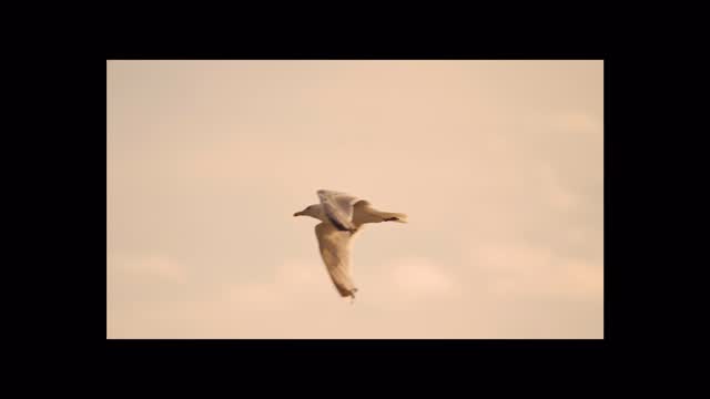 Celebrating the people who build Massachusetts, one connection at a time. Cheers to an incredible AGC of MA Summer Social at The Tall Ship!
We were proud to capture this evening of networking, community, and celebration. From large-scale industry events to intimate gatherings, our team excels in documenting the moments that bring people together and showcase the heart of your organization.