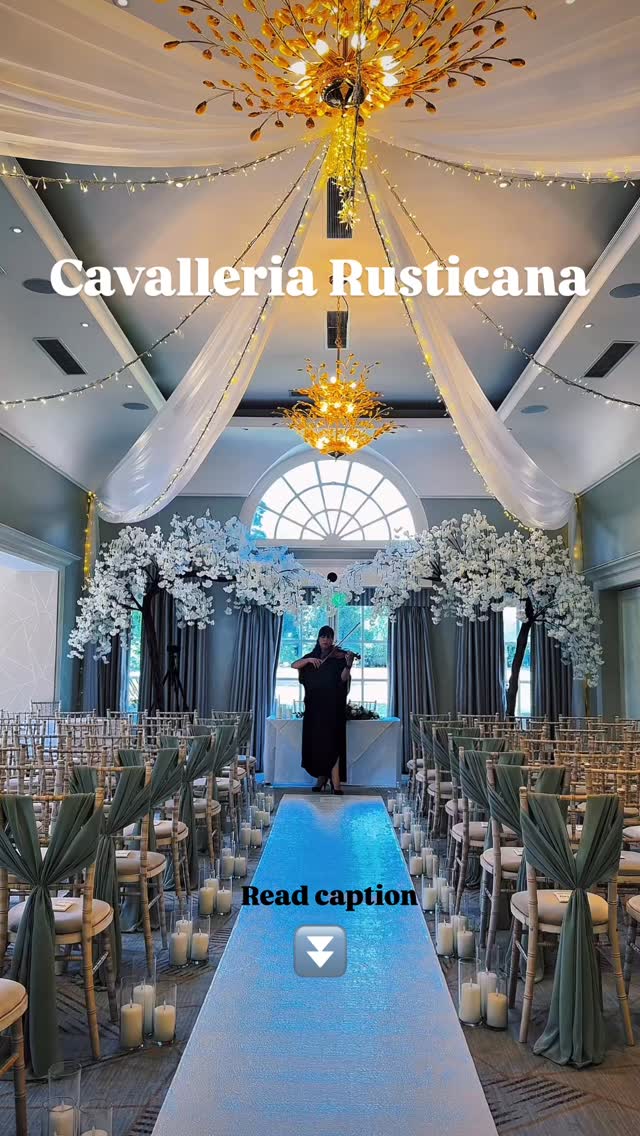 It aches. It remembers. It forgives. 🥹
When I perform this piece, I’m not just playing notes—
I’m speaking to every soul that’s ever grieved,
every heart that’s ever longed,
every love that’s ever been lost…
There’s something about this melody—
so fragile, yet so powerful—
that brings tears to my eyes without asking for permission.
I hope that when you hear it,
you let it break you open a little.
And then it might heal you a little more...
@royal_berkshire 😍
#CavalleriaRusticana #Violinist #EmotiveMusic #WeddingViolinist #LiveMusicMagic #Violinist