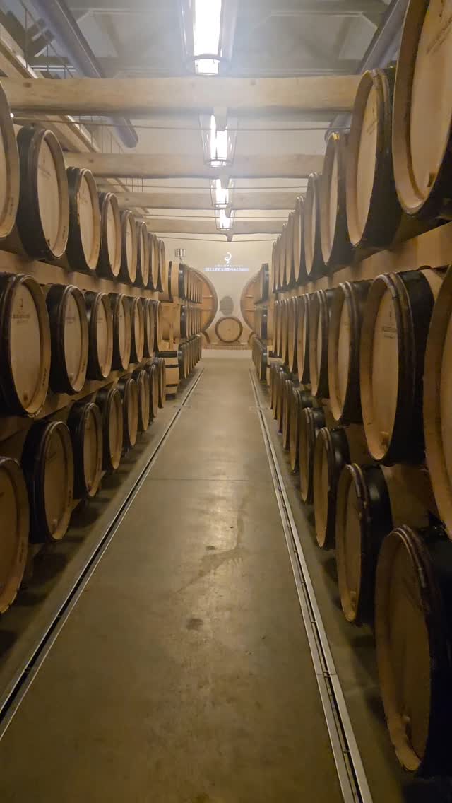 Experience the captivating dance of vanilla and wood aromas, beautifully imparted by the finest French oak barrels. Pure elegance.
#toursinchampagne
#tourwithlocals
#besttours #winetours #champagne #champagneexperience 
#champagnelover #champagnelovers
#champagneaddict #champagne
#private #privatexperience #honeymoon #champagnesecret #champagnemoments #champagneprivateexperience #luxurychampagne #finechampagne #champagneguide #champagnelife  #champagnetasting #winelover #winelovers #winetasting  #wineblogger #winedestination #winetravel #winetraveler
#thechampagnewineclub #champagneluxurytrip