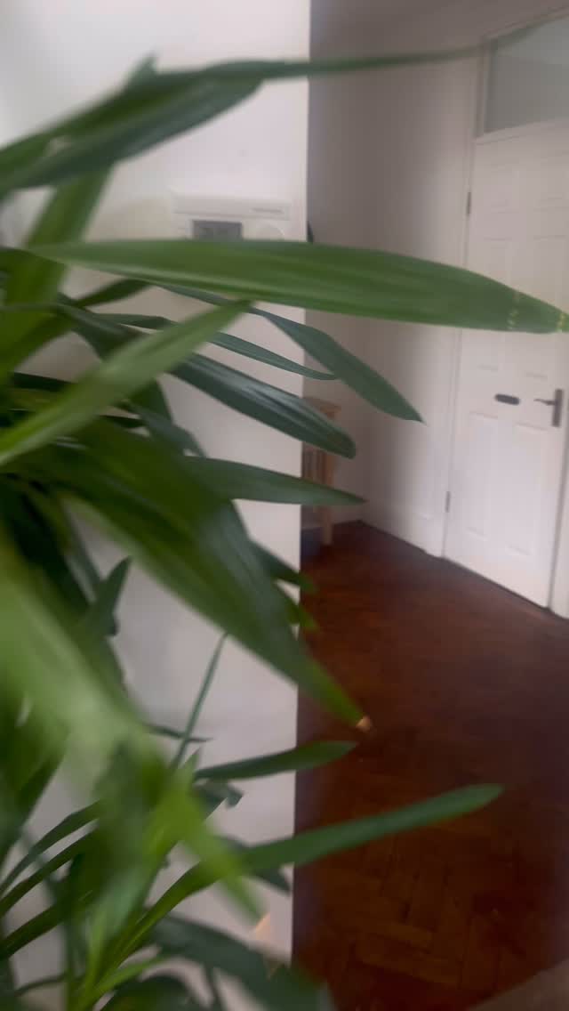 📍Cambridge St. Uplands
😃2‑bed ground floor flat
😃Two GIANT, bright double bedrooms. Each with its own desk space, heaps of storage, dining area & chill zone.
😃2 bathrooms (brand‑new second bathroom arriving July/Aug).
😃Fitted shared kitchen + separate utility with washer & dryer.
😃Ideal for one tenant per room - students. (UK guarantor needed)
😃£525 Per Room PCM + deposit £525 Per Person.
😃Bills‑included package available on request.
😃Tenancy 1 Sept 2025 – 30 June 2026
😃Holding fee £75 pp (goes toward first month’s rent)
👉 Email us with Ref: “GFCAMBRIDGESTREET” to book your viewing before someone else grabs it!
info@mpletting.co.uk
01792 930 414
Office: 53 Eversley Rd, SA2 9DE
#SwanseaRentals #UplandsLiving #Swansea #SwanseaStudents #SwanseaUni #MiradorProperty