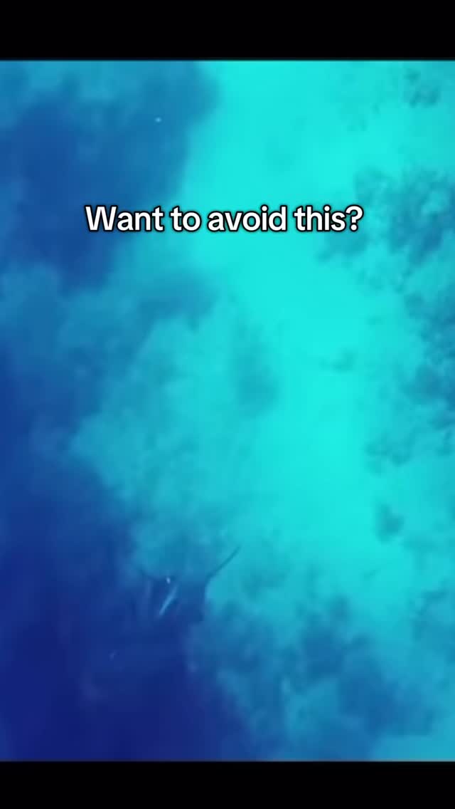 🛟🦈Lifesaving gear. Shop at the link in our bio!
#spearfishing#freediving#underwaterhunting#spearfish#scubaspearfishing#spearfisherman#oceanlife#speargun#divegear#underwateradventure#catchandcook#saltlife#spearfishinglife#spearfishinggear#sharkencounter#underwaterlife#toothlessgear#deepdive#spearfishingcommunity#spearfishingvideos