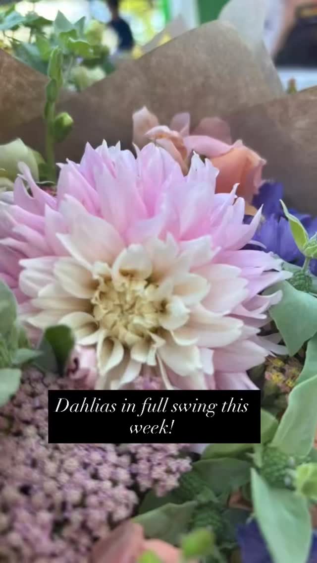 Dahlias are peaking through in almost all of our bouquets today! Make sure to get one before they’re all gone! @provofarmersmarket #utahflowerfarm #makeutahbloom