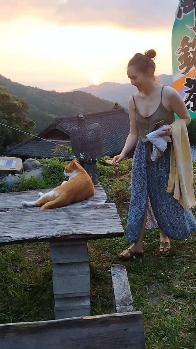 黄昏どき、何を想うのか。
コジロー、今日も静かに日が沈むのを見ています。
As the sun sets,
Kojirō quietly watches the day fade away.
#黄昏コジロー
#夕日のある暮らし
#SunsetVibes
#CatInTheMoment