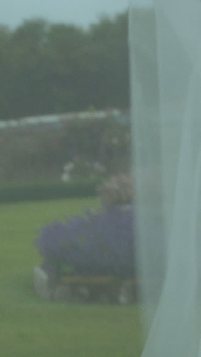 Emma & Oscar ❤️
@em_norris98 & @oscarnorris
@nicholas_reader
#cornishwedding #cornwallvideographer