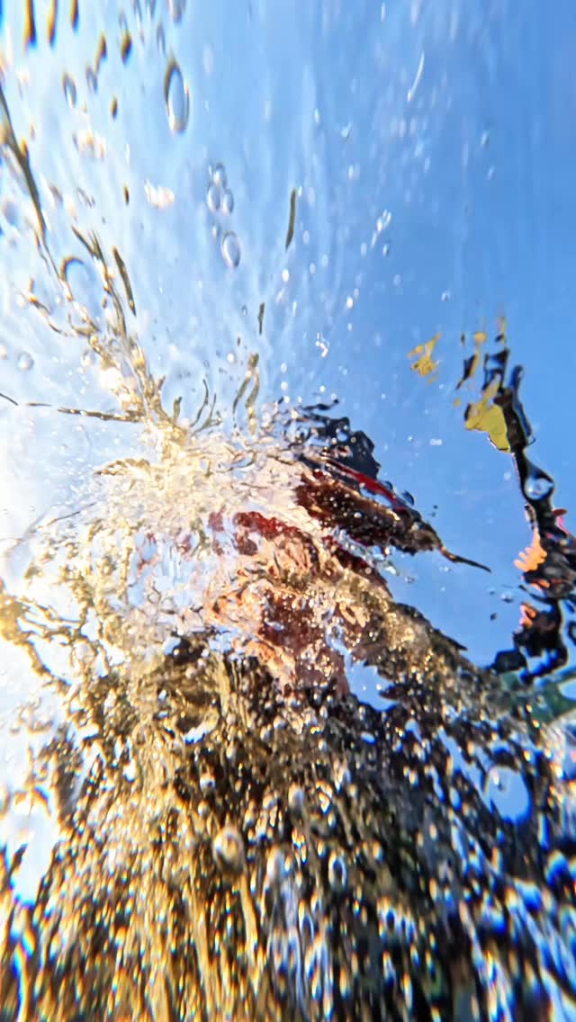 🚨 NEWS! TEST CENTER at KITEPRASO 🚨
Come and try Bangproof helmets specially made for water sports! 🪁🌊
Ride safe and stay stylish on the water 🤙🏽
✅ Perfect for kitesurfing, wingfoil and more
🧠 Safety meets comfort – we’ll help you find your perfect fit
📍 Open daily at the Kitepraso spot – from sunrise to sunset
Drop by, test it out and feel the difference! 💥
#kitepraso #bangproof #kitesurfinglife #watersportsgear #testcenter #ridesafe #helmeton #duotone #watersports #prasonisi #rhodes