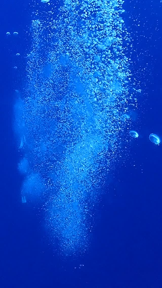 こんにちは、「地球と遊ぼう!」をテーマにダイビング、キャンプ、トレッキング、スキーなど、子どもから大人まで楽しめるアクティビティを展開しているチームPlaywithEarthです☺️✨
今回は夏!ということで海!のご案内に参りました✨単純でイージーですけども、笑
そして、秋から冬の案内してるやん!ってツッコミも入りそうなところですが😅笑
そこは言葉のあやということで大目に見てやってくださいませ💦🥹🥹🥹
世界の巨石文明を紐解き、大いなる日本の謎にまで迫っていく、チームAncientOneWorldのマル秘㊙️ツアーも今温めてますので、もう少しお待ちくださいませー✨☺️
#アウトドア
#ダイビング
#水中世界
#海好き集まれ
#子ども達にのこしたい海
#diving
#playwithearth
#関西
#奈良
#自然との結び
#地球と遊ぼう