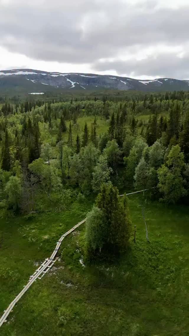 Fågelvyn till @lillastuganvaffelbruk.
Tack snälla @davidkantermo för fina filmen.
Varmt välkommen 🧇 ☕️ 😊
torsdag - söndag kl. 10.00 - 14.00