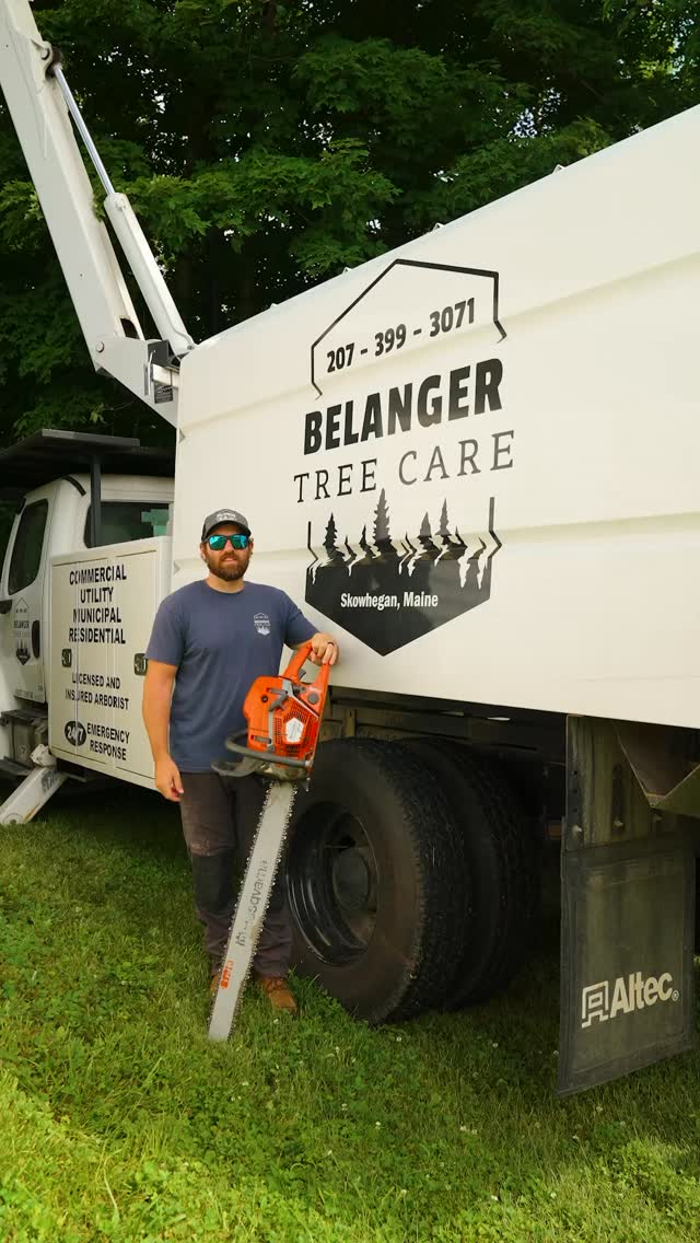 Name one tree guy that doesn’t dream of Jeannie.
.
.
.
.
#belangertreecare #arborist #arboristsofinstagram #skowhegan #skowheganmaine #forestry #chainsaws #centralmaine #mainebusiness #treecare #treecarebusiness #treeclimbers #logging