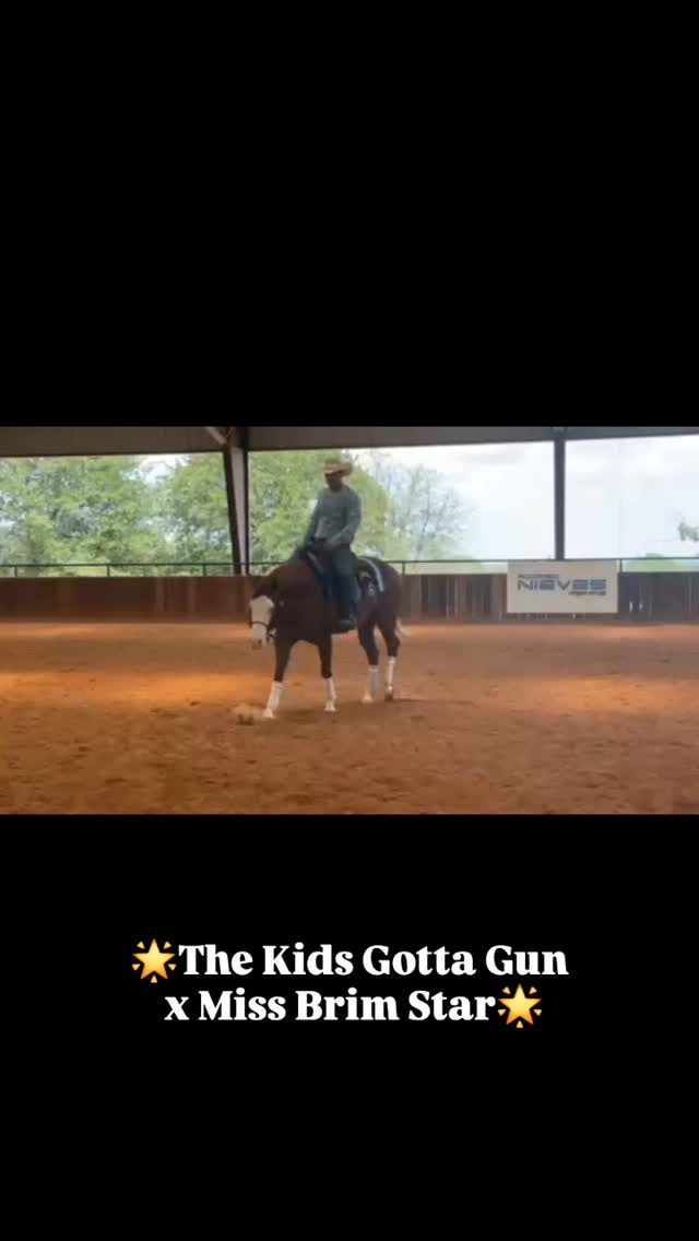We're so thrilled to be partnering with @rodrigo_nieves_reining and seeing the progress this yearling has made.
✨2 Year Old | The Kids Gotta Gun x Miss Brim Star✨
@santahillranchbreedingbarn
Miss Brim Star:
LTE: $49,900+
PE: $115,700+
The Kids Gotta Gun:
LTE: $104,000+
PE: $211,000+
#RodrigoNievesReiningHorses #NRHAReining #nrha #quarterhorse #SantaHillRanch