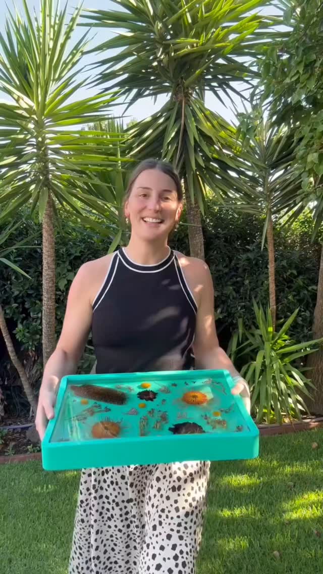 Maddy's hard work and talent + RiverPour Epoxy = ๐๐คโจ๏ธ
Follow Maddy ๐ซถ @maddyhandmade
#maddymadeit #Justresin #JRartsupplies #resinart #epoxyart #riverpour #deeppourepoxy #floraldesign #flowers #flowerpreservation #epoxyresin #banksia #aussielove #aussienatives #AustralianMade #crystalclear