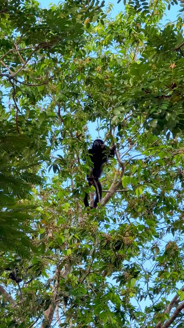 Porque viver um momento a dois é mais do que estar junto, é se escolher com calma, em um lugar onde o amor encontra paz. 💛✨