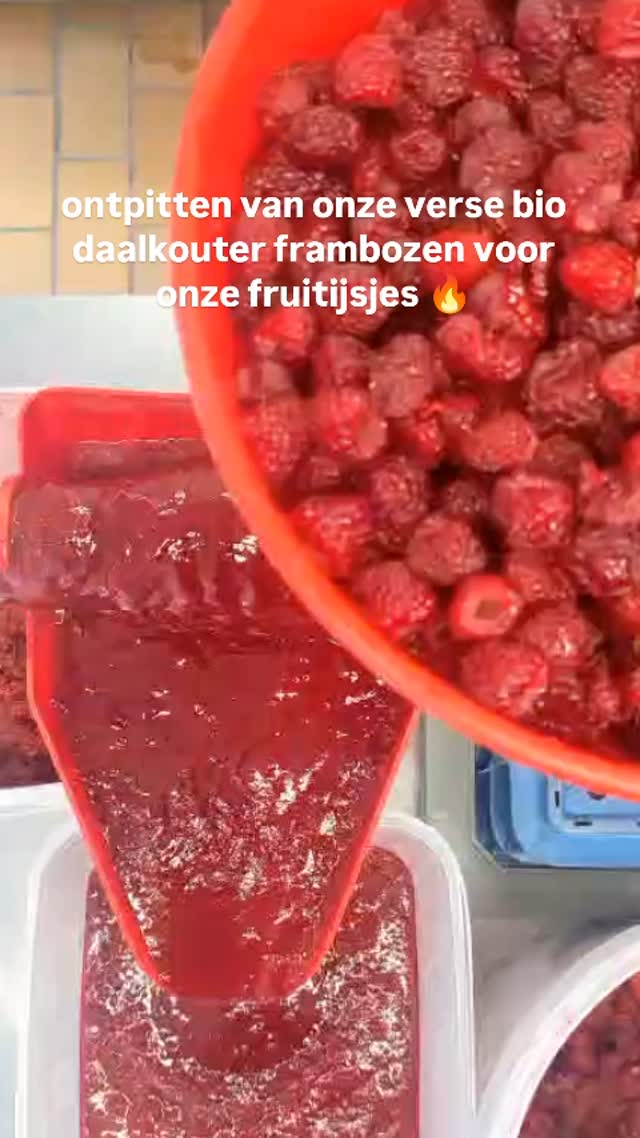 Om de 3 dagen worden onze frambozen geplukt, ontpit en omgetoverd tot heerlijke biologische fruitijsjes. 😍
#popsicle #fruitijsjes