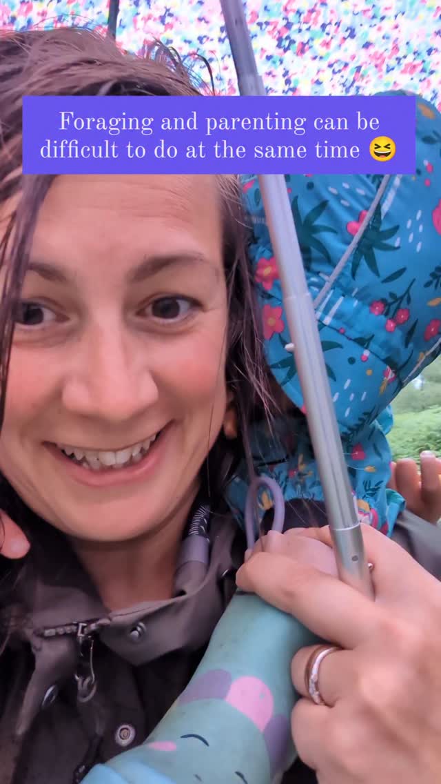 Yesterday I had a long list of wild ingredients to gather for my collaboration with the @thepierhousehotel next week. Sometimes things just don't go to plan 😆😅