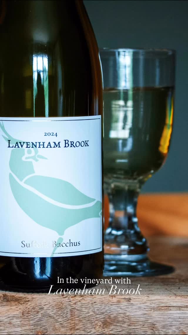 We’ve been hanging out in the glorious Suffolk vineyards of @lavenham_brook getting a better understanding of how they work ahead of adding their aromatic and zippy Bacchus to our summer wine list by the glass this Friday - this is the finest expression of this varietal we have sampled. Come along for a free taste from 5pm on Friday at @kingsheadbildeston #suffolkwine #winemaker #suffolkgrower #bacchus #winetasting #tasteofsuffolk #ukgrowers #supportinglocal #suffolkpub