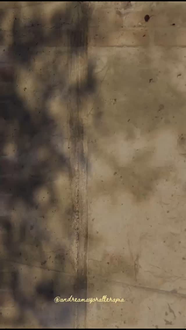 Cada historia que cargamos, cada herida, cada experiencia…
moldea la forma en que interpretamos lo que nos rodea.
Eso que creemos objetivo, muchas veces son solo nuestros filtros actuando.
Les llamamos sesgos.
Y no son errores, son formas de protección.
Pero cuando los hacemos conscientes,
podemos empezar a mirar con más claridad,
y menos juicio.
La terapia no cambia el mundo,
pero sí puede ayudarte a cambiar la forma en que lo miras.
Andrea Mayoral Martín
Psicóloga y terapeuta ocupacional
637667205
📩 andreamayoralterapia@gmail.com
#psicologia #sesgos #autoconocimiento #miradaconsciente #psicologiaonline #terapiaocupacional #reflexion