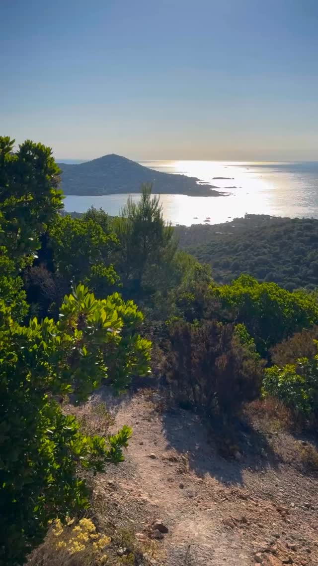 Beautiful trek near St Raphaël in Southern France. From dry pine hills to sea level chills — this trail’s got it all. Views? 10/10 🥾🌲🌵🌊