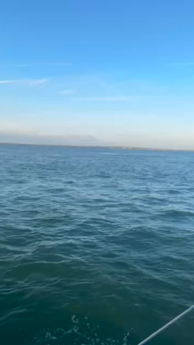 What an amazing evening!! 🌅⛵️
Mad Dash was on fire — perfectly balanced, fast, and an absolute bandit in the light breeze! 🔥💨
Want to experience the magic for yourself?
We’ve got plenty of chances for you to get onboard 🐾
📲 Head to sailinghounds.co.uk and book your spot before it’s gone!
#SailingLife #MadDashMoments #SailingAdventure #SailingHounds #GetOnboard #BoatLife #SailingUK #CowesToStMalo