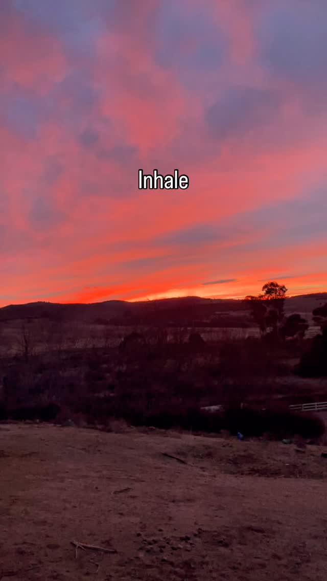 Just breathe
#lappifarm #snowymountainsnsw #destinationjindabyne