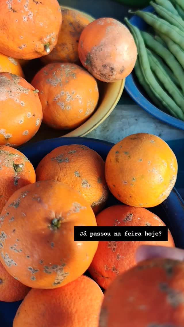 Como chama limão cravo, limão rosa, limão galego, aí na sua terra?
#panc #limaocaipira