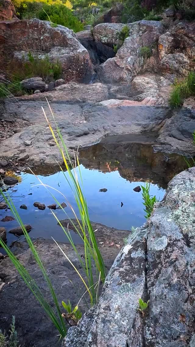 Backcountry #hiking 🥾🏜️ in Provence, France. Points for loop 🔁 sun ☀️ and stunning trees 🌳 Recommend faster pace to avoid 🦟
#exploring #france #provence #trekking #lesbabounets